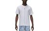Jordan Мужская спортивная футболка с коротким рукавом Dri-FIT FN5829-100