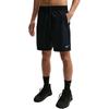 Спортивные шорты Dri Fit мужские IF2785-010