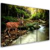 Three Piece Picture Canvas Print Deer Creek Forest