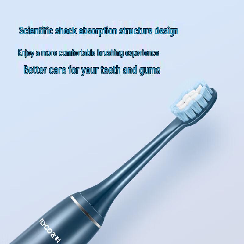 FLYCO FT7105 Sonic Electric Toothbrush