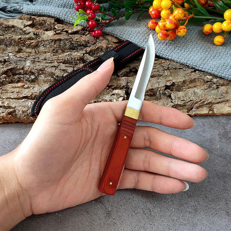 Stainless Steel Fishing Knife Kitchen Meat Knife Barbecue Boning Knife Fruit Knife