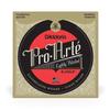 ProArte Classical Guitar Lightly Polished EJ45LP D'Addario Strings, Silver, Normal,