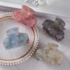 Chic Temperament Hair Accessories Jelly Colors Bathing Clips Hair Claws Hair Grab Grab Clips