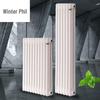 Dongfeier Steel Wall-Mounted Radiator