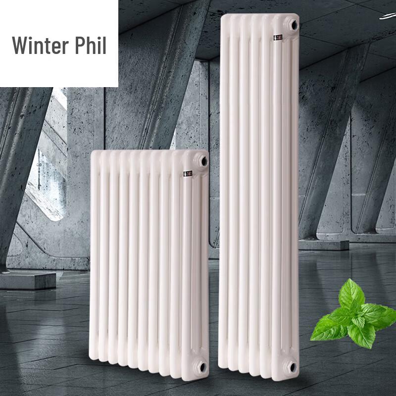 Dongfeier Steel Wall-Mounted Radiator