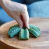 Cactus Coaster Set 3D Printed Cactus Coaster with Flowerpot Holder Funny Desktop Coaster for Plant Lovers Gift Home Office Bar Decoration