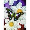 DIY Butterfly 5D Diamond Painting Full Round Drill Mosaic Animal Diamont Embroidery Cross Stitch Kits Resin Home Decor Art Gift