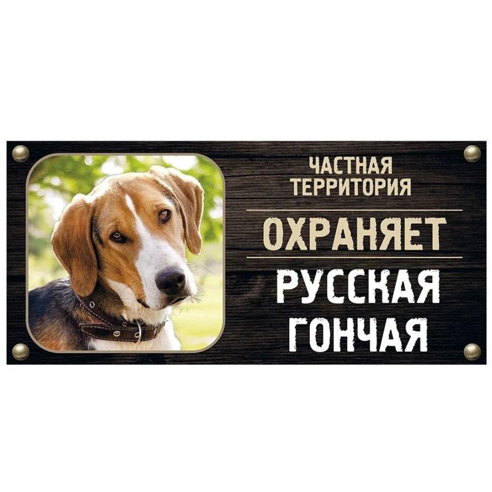 Жестяная табличка DORA Сторожевая собака Знак частной собственности Металлическая табличка с номером дома
