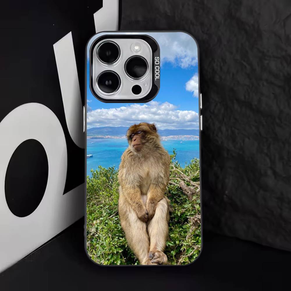 Забавный Милый Чехол-Обезьянка Для iPhone 11,12,13,14,15,16,17,Pro,Max,Plus,E,Air,Mini IMD Матовый Черный