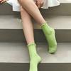 biarritz socks french frill socks (long/medium 2 ver.) 5 colors