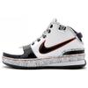 LeBron 6 United We Rise 346526-141