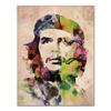 Wall Art Canvas Painting Pop Art On Canvas Living Room Poster Sofa Cuadros HD Print Watercolor Elvis Presley Che Guevara Freedom