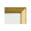 Рамка для тенугуи VanJOH Light Ультралегкая Золотая M1006-GD2