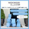 Wedgwood Intaglio Официально с подарком Идеально для и aW5C104003980 Кружка, 350 мл, Импортная, Упаковка. Рождество, Свадьбы, Новоселья.