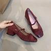 Туфли Мэри Джейн в сказочном стиле женские 2025 осень новый французский стиль с юбкой темперамент одинарные туфли толстый каблук легкий рот маленькие кожаные туфли