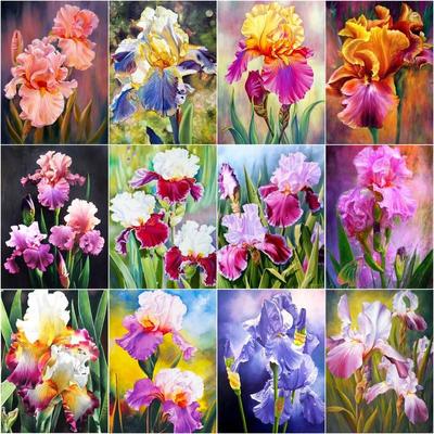 5d DIY Набор для алмазной живописи Полный круглый Ирис Алмазная вышивка Крестом Мозаика Цветок из бисера Фотографии