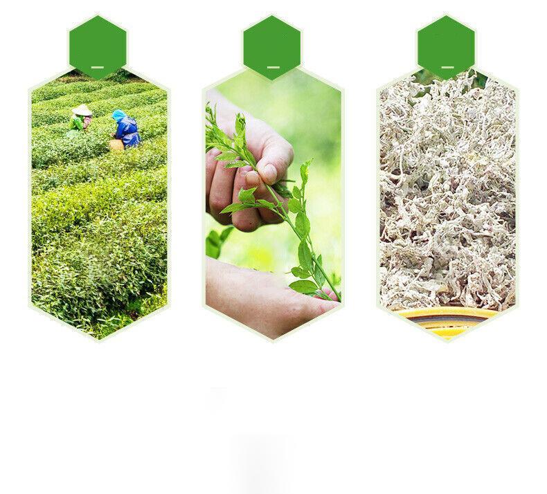 ZJJMeiCha tengcha shenxian cha натуральный оздоровительный травяной чай