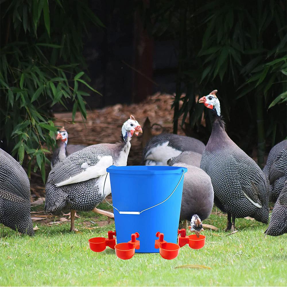 6 x Красные пластиковые автоматические поилки для птиц, кур, домашней птицы, курятника 10,5x4 см
