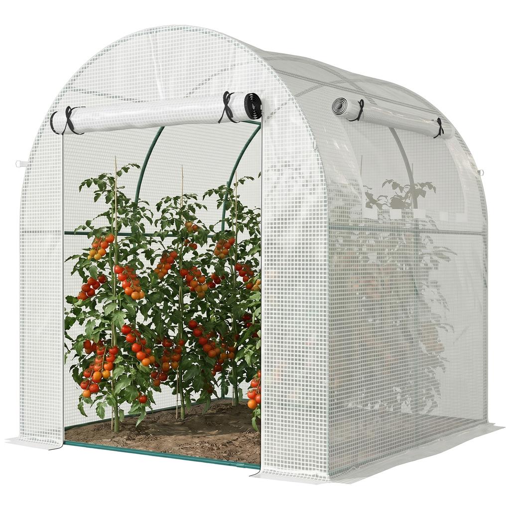 Walk in Polytunnel Greenhouse, Green House for Garden with Roll-up Window and Door, 1.8 x 1.8 x 2 m, White