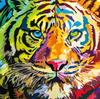 50x50 см 5D DIY Алмазная картина Птица Мозаика Животное Полный квадратный/круглый бриллиант Вышивка Цветок Ручная работа Домашний декор