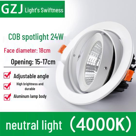 Recessed 20W Spotlight Downlight for Clothing Stores, 15-30W Commercial Ceiling Light
