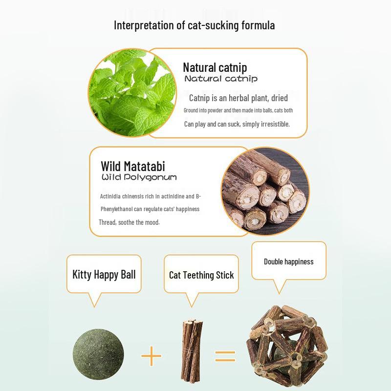 Mint Ball Catnip Chewing Stick: Interactive Kitten Toy & Stress Relief Aid