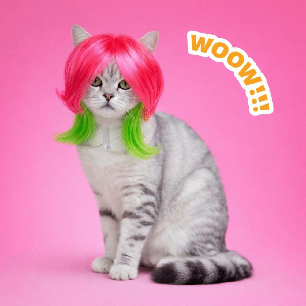 with Bangs Cat Dragon Fruit Color Mullet Hair Adjustable Fit Kitty Fake Hair Christmas Party