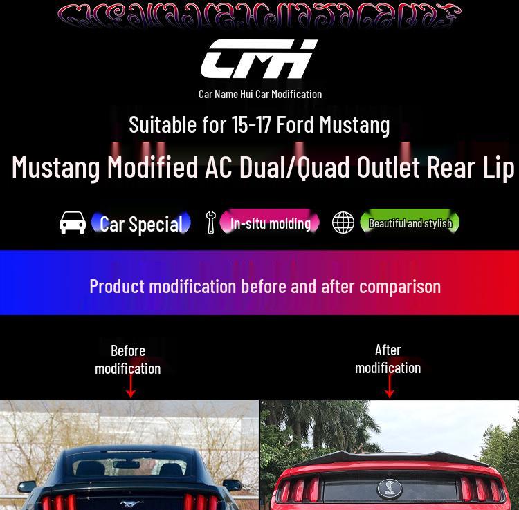 15-17 Ford Mustang Carbon Fiber Rear Lip Kit: US Version Quad Outlet Spoiler