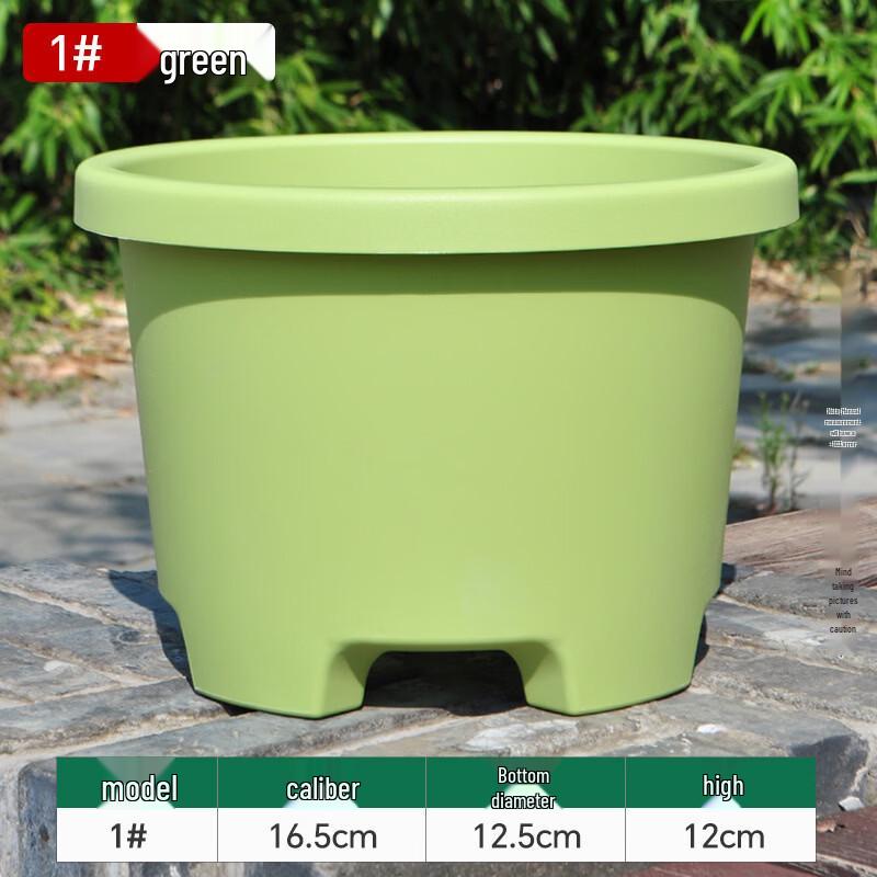Large Lily Amaryllis Saffron Planter Pot