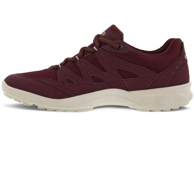 Полуботинки Ecco Terracruise LT GTX