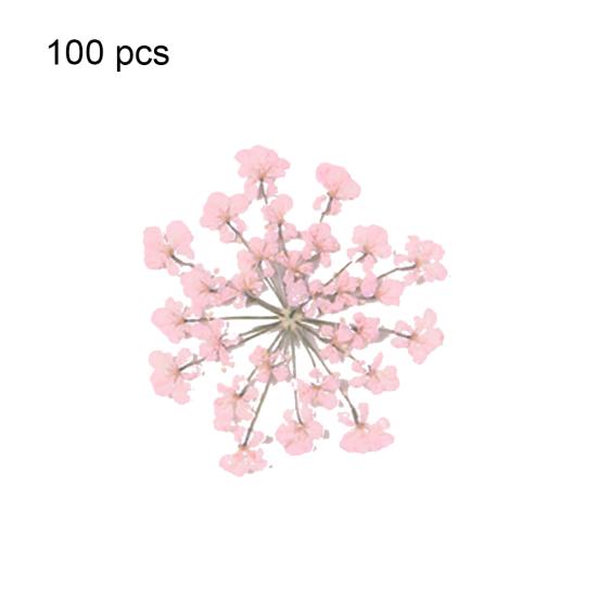 100шт прессованный сушеный цветок Ammi Majus из эпоксидной смолы для ногтей DIY Декор для телефона