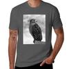 Hawk In Profile Tshirt Soft Cotton Print Tshirt
