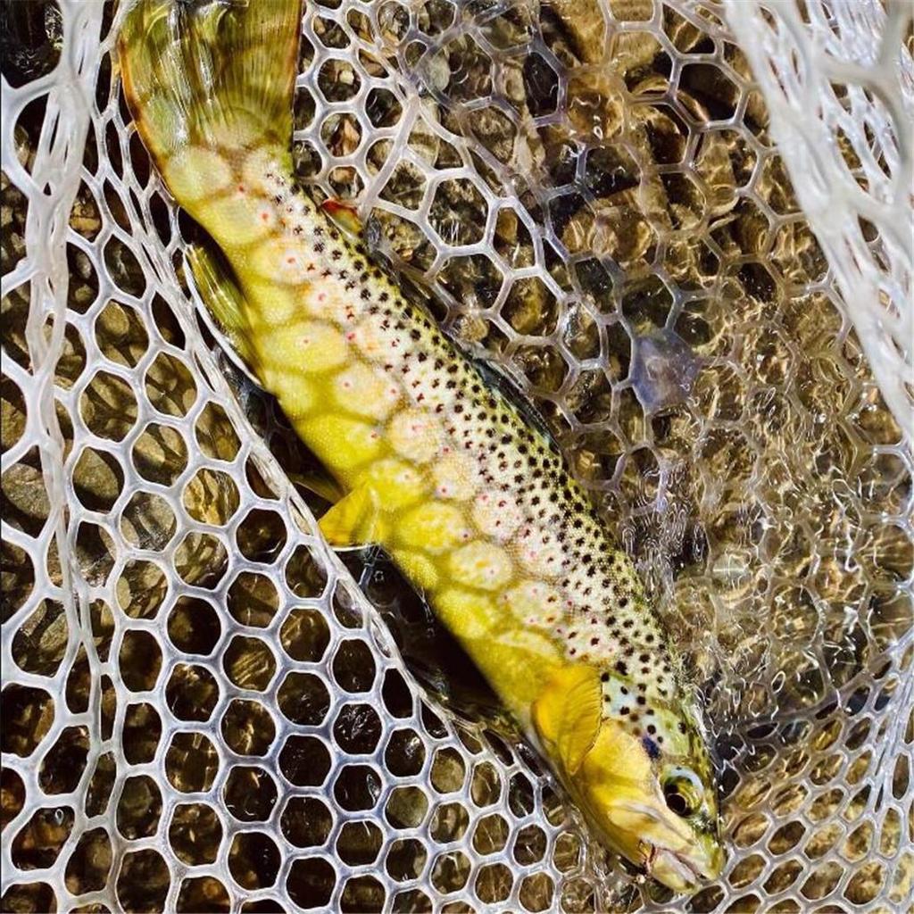 25 шт./кор. латунная головка-бусина, быстро тонущая муха-нимфа, медная приманка для ловли форели John Mayfly Stonefly