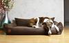 Rocky Orthopedic Brown Dog Bed - 97cm x 86cm