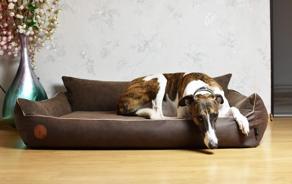 Rocky Orthopedic Brown Dog Bed - 97cm x 86cm