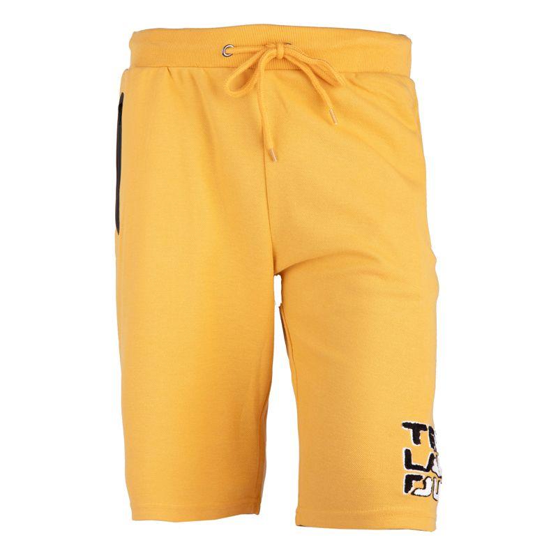 Эластичные шорты с логотипом Мужское TED LAPIDUS