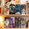 Забавный чехол для телефона с изображением животного A-Кошка для iPhone 17, 16, 15, 14, 13, 12, 11 Plus, Pro Max, Другие Мягкий Черный Чехол