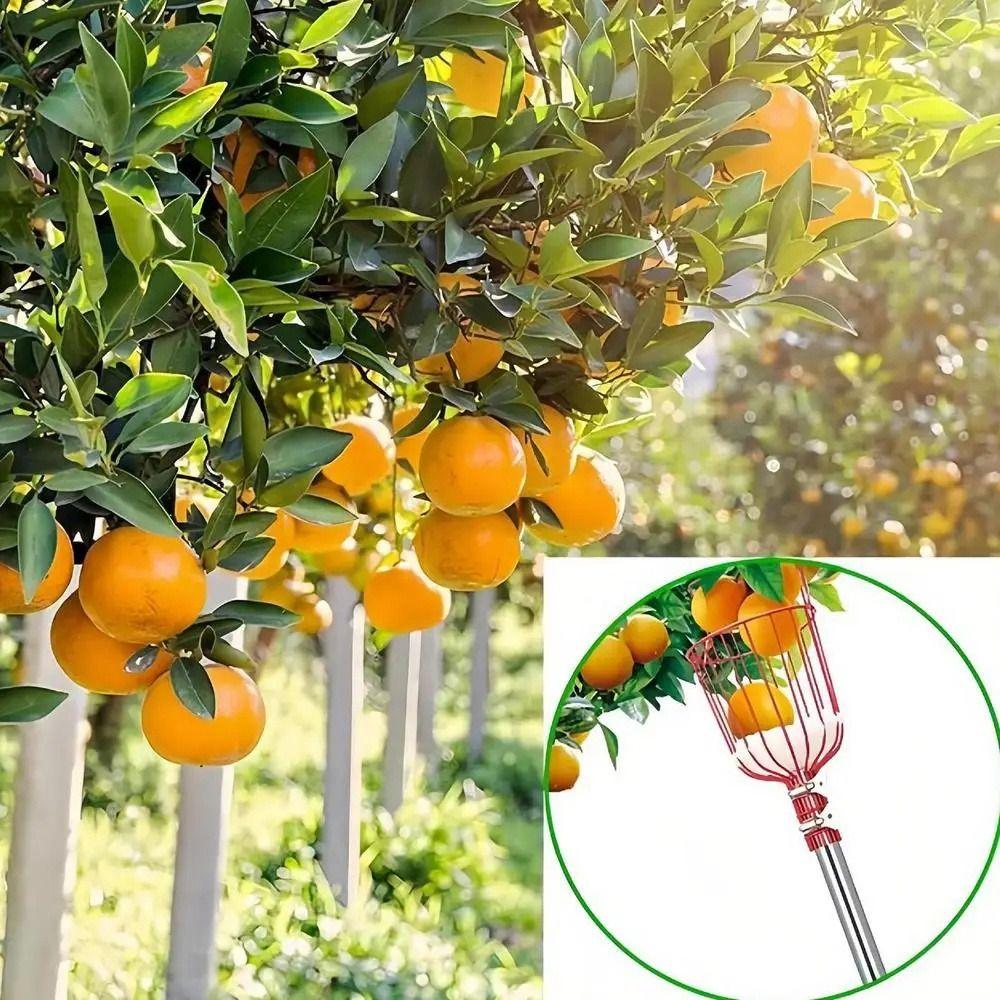 High-altitude Fruit Picker Pole Labor-saving Fruit Catcher Portable Fruit Collector Farm