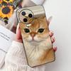 Для Infinix Note 12 Pro 4G Чехол X676B Силиконовый Милый Кот Модные Цветы Расписная Крышка Для Телефона Inifnix Note 12 Pro Чехол-Бампер
