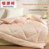 Hengyuanxiang Antibacterial Brushed All-Season Quilt