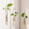 Wall Hanging Planter Glass Planter Wall Mounted Decorative Flower Vase Hydroponic Vase Wall Vase Window Decoration for Balcony
