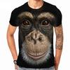 Summer Gorilla Monkey Animal Graphic 3D Print Kids T-Shirts Boys T-shirt Short Sleeve Tees Top Girl T-Shirt
