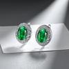925 Sterling Silver Multi-color Round Crystal Zircon Earrings Anniversary Birthday Wedding Party Gift
