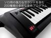 KORG Keytar Synthesizer Stage Keyboard Battery Powered 2BK Translucent Black RK-100S