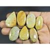 233Cts. Natural Fossil Coral Mix Cabochon Loose Gemstone 7 Pcs Lot A-562