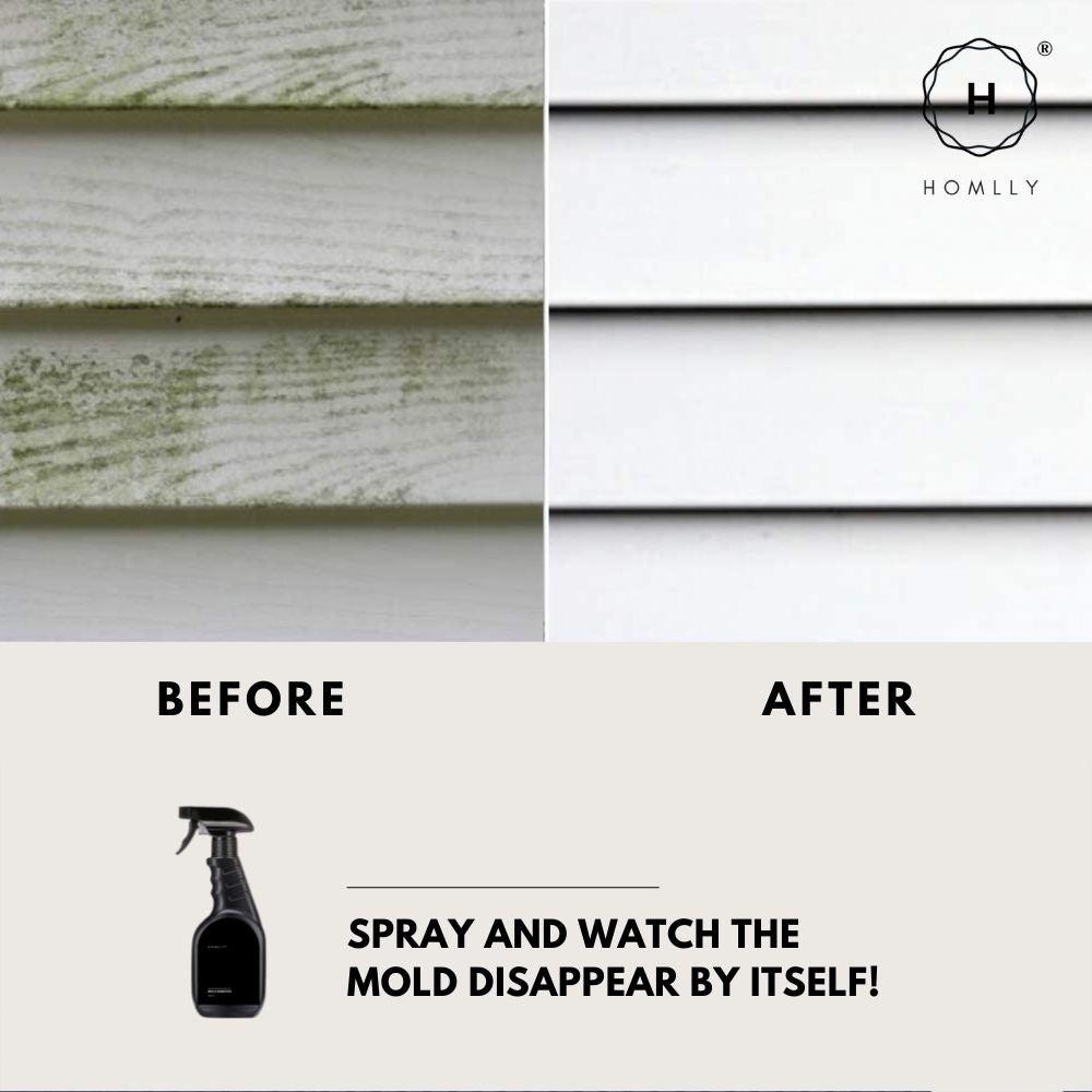 HOMLLY Magic Wall Спрей для удаления пятен плесени и грибка (500мл) (X2ШТ)