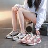 2024 Осень Новая Модная Повседневная Спортивная Обувь Ретро Цветовая Гамма Лесные Кроссовки Повседневные Кроссовки Женские