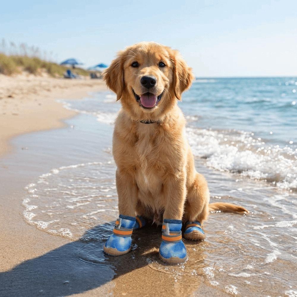 4 pcs/set Wear Resistant Dog Mesh Shoes Breathable Mesh Dog Sneakers Dog Foot Covers  City Walks