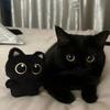 Black Cat Simulated Plush Toy Keychain Wallet Stuffed Doll Girls Gift Birthday