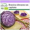 Organic - Red Cabbage - Red Drumhead - 250 Seeds - Brassica Oleracea
